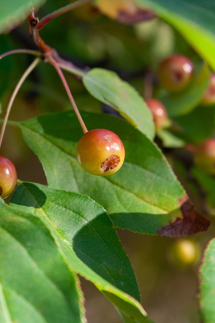 曼聯抓住了 曼聯抓住了