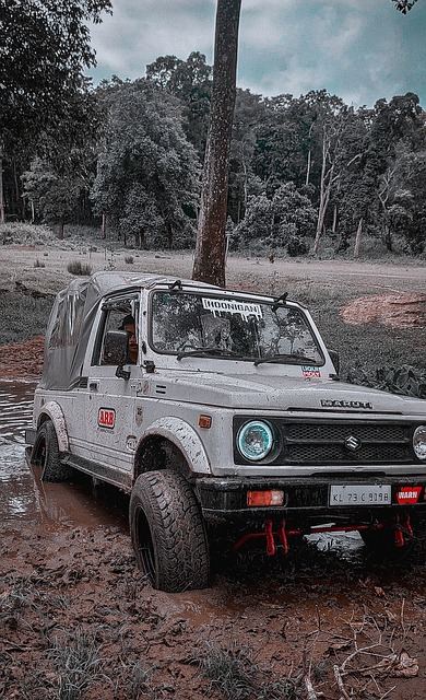 黎圣日耳曼 黎圣日耳曼