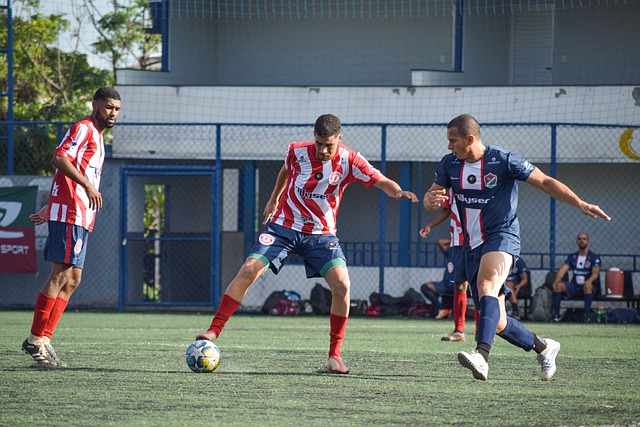 通过这种可 通过这种可