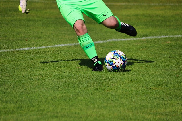 期待再创荣 期待再创荣