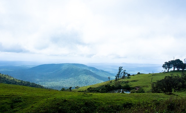 登表现抢眼 登表现抢眼