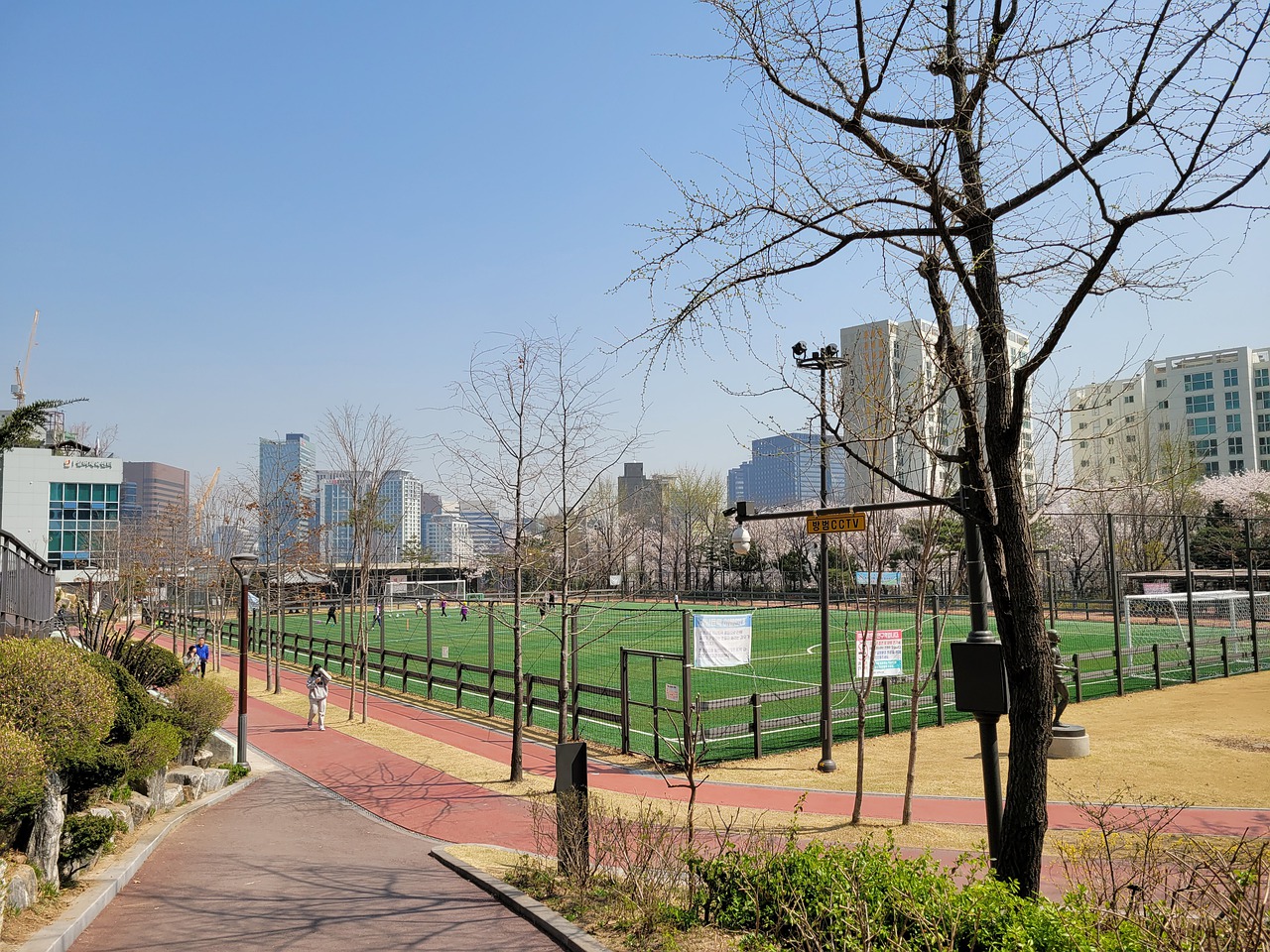 费南多和马 费南多和马