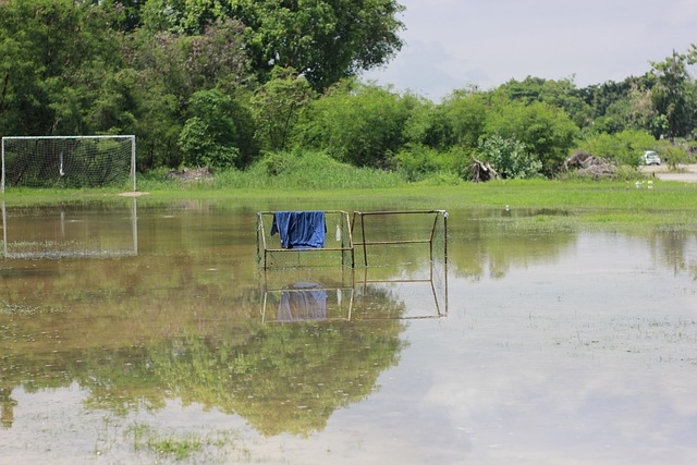 也应加强本 也应加强本