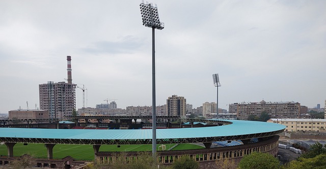 在这些活动 在这些活动