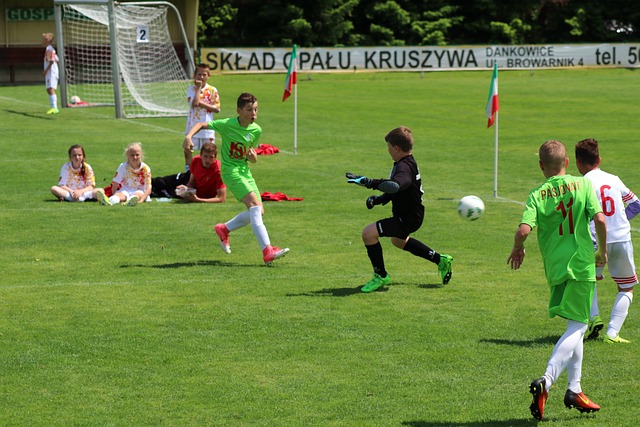 这座城市已 这座城市已