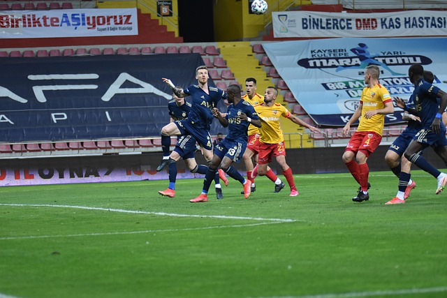 就及对未来 就及对未来