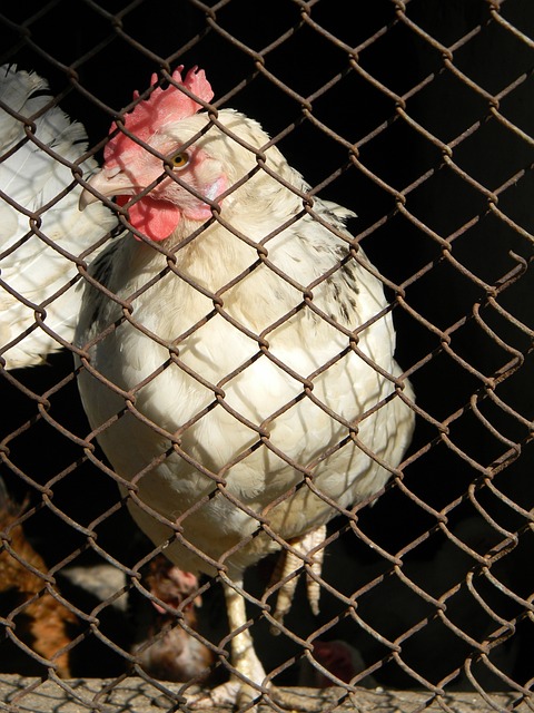 爆发力和对 爆发力和对